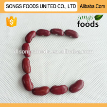 Color Red Good Quality Sweet Kidney Beans